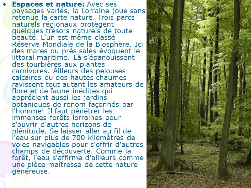 Espaces et nature: Avec ses paysages variés, la Lorraine joue sans retenue la carte